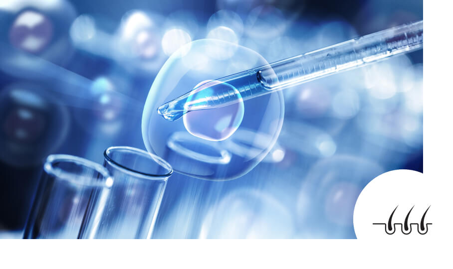 衰えた幹細胞の再生力を促進することで発毛力アップ