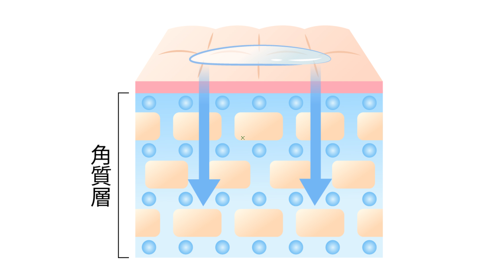 イオン導入の70倍の浸透力
