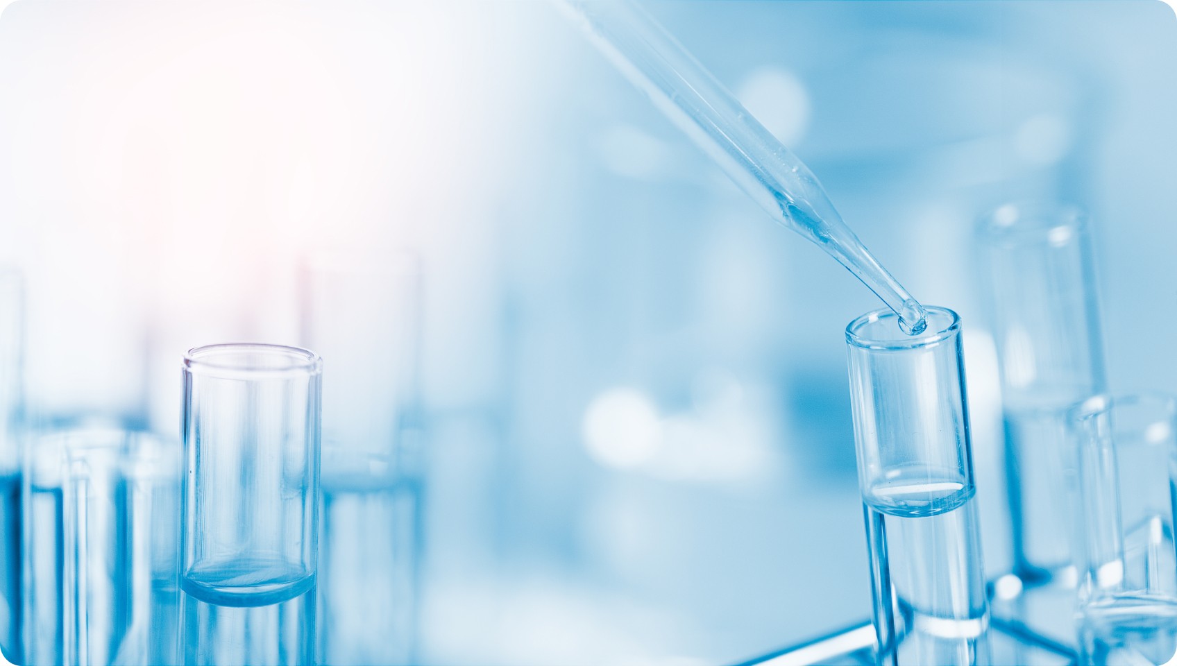 50倍濃縮エクソソーム