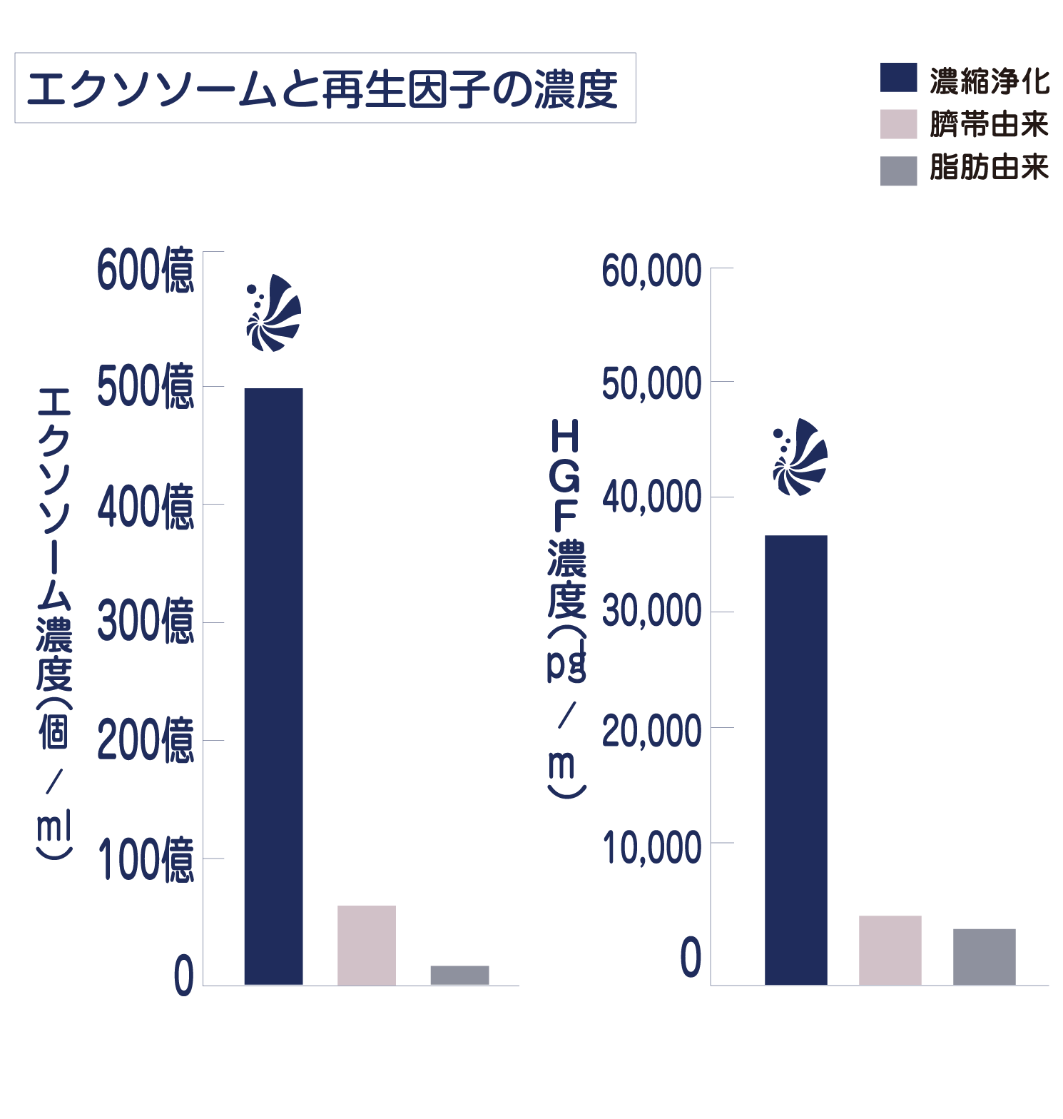 幹細胞上清液とは